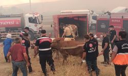 Yenişehir'deki Yangında Alevlerin Arasından Kurtarıldılar