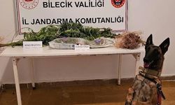 Bilecik’te uyuşturucu operasyonu