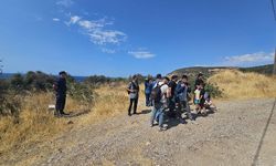 Çanakkale’de 19 kaçak göçmen yakalandı