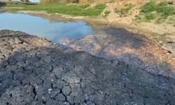 Çanakkale’de Kocabaş Çayı alarm verdi, toplu balık ölümleri yaşandı