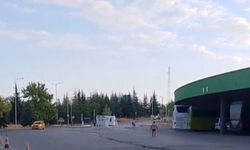 Edirne Otogarı’nda ilginç anlar: Eşek bu kez otobüs şoförünün yastığını çaldı