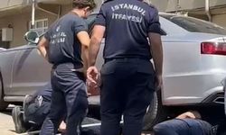 Gurbetçi aileye dönüş zamanı kedi sürprizi