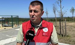 İstanbul Valiliği’nin talimatı sonrası Arnavutköy’de sahipsiz hayvanlar toplanmaya başlandı