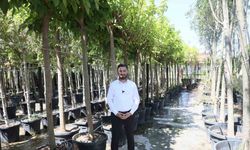 Kağıthane’ye 50 bin ağaç ve 1 milyon metrekare yeşil alan kazandırıldı