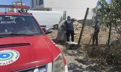 Yanıcı malzeme çöp konteynerinde yangın çıkardı