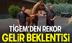Tarım Devi TİGEM, Bu Yıl Yarım Milyar Lira Gelir Öngörüyor