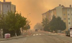 Çanakkale'de orman yangını: Sokaklar dumanlara teslim oldu!