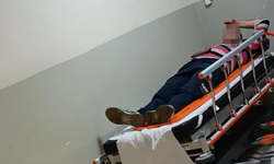 Bursa'da meyve toplarken hastanelik oldu