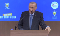 Cumhurbaşkanı Erdoğan: "Yarın da katılımlar olacak partimize''