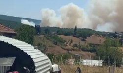 İznik'te orman yangını başladı, müdahale sürüyor!