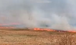 İnegöl'de anız yangını paniği