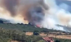 Nilüfer'de orman yangını! Çok sayıda ekip müdahale ediyor