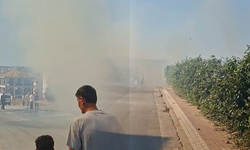 Alanyurt'ta korkutan yangın
