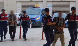 İnegöl Jandarması’ndan kenevir operasyonu