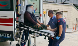 İnegöl'de erik ağacı ağır yaraladı
