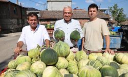 NİLÜFER KONAKLI'DAKİ KAVUN ÜRETİMİ İKİ KAT ARTTI