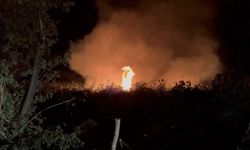 Bursa İznik’te korkutan yangın