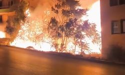 Bursa'da alev alan ağaçlar villaları böyle tehdit etti