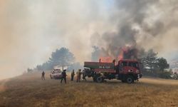 Orhaneli'deki orman yangını kontrol altına alındı
