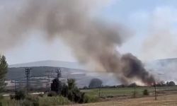 Yenişehir kırsalında korkutan yangın