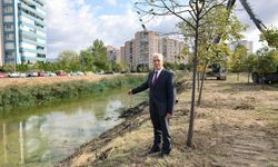 Bursa’da dereler temizleniyor, sel tehlikesi azaltılıyor
