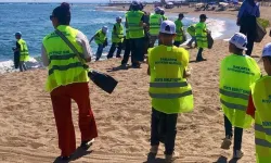 İsveç’teki ‘plogging’ akımı Karasu Sahili'nde