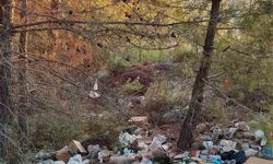 Çanakkale’de ormanlık alanlar çöpten geçilmiyor