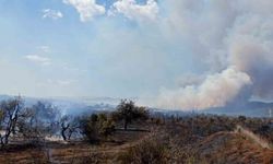 Çanakkale’de tarım arazisinde yangın