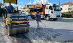 Erenler’de fiber internet çalışmalarının ardından asfalt çalışması başladı