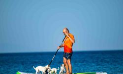 Köpekleriyle deniz keyfi