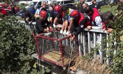 Menfezde mahsur kalan köpeği Başkan Bahadır kurtardı