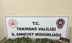 Tekirdağ’da uyuşturucu operasyonu: 2 kişi tutuklandı