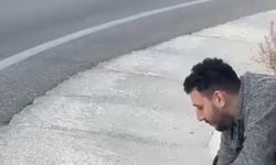 Uludağ yolunda sıra dışı karşılaşma