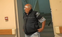 İnegöl'de köpekler bu hale getirdi