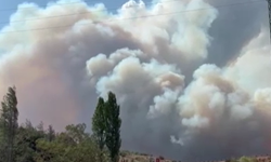 Bursa Gündoğdu'da orman yangını!