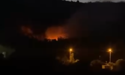 İnegöl’de orman yangını korkuttu