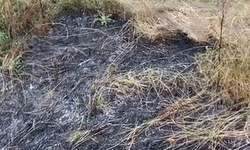 Fevziye köyünde facia ucuz atlatıldı! Dernek Başkanı Tepki Gösterdi