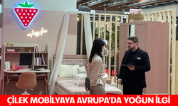 Çilek mobilyaya Avrupa'da yoğun ilgi