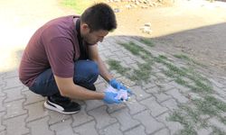İnegöl'de çocuklar evi soydu