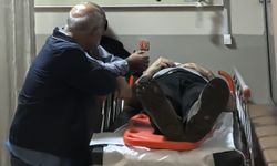 İnegöl'de ceviz ağacı öldürüyordu