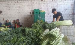Kışlık ürünlerde tarladan alım fiyatları belli oldu
