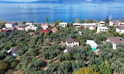 İznik’e İki Kat İlgi: Papa Ziyareti ve Deprem Hareketliliği