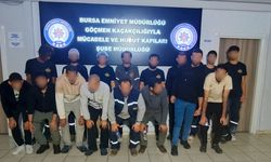 Kaçak Göçmen Operasyonu! Çok sayıda yakalandı