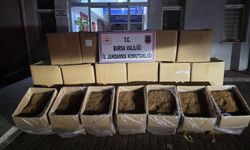 Bursa’da dev operasyon! 750 kilogram kaçak tütün yakalandı