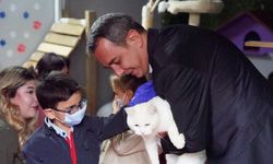 Beyoğlu’nda minikler barınaktaki hayvanlarla buluştu