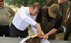 Binlerce leylek yuvası, yüzlerce mama kabı: Doğa dostu projeler