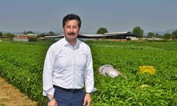 Dünya gıda pazarında Türkiye’nin ürünleri yer alacak