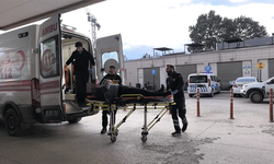 İnegöl'de kardeşler ölümden döndü