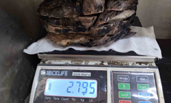 Nefes darlığı şikayeti ile hastaneye gitti, göğsünden 3 kilogramlık tümör çıktı