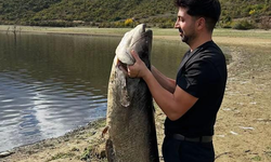 İNEGÖL’DE DEV YAYIN BALIĞI HEYECANI